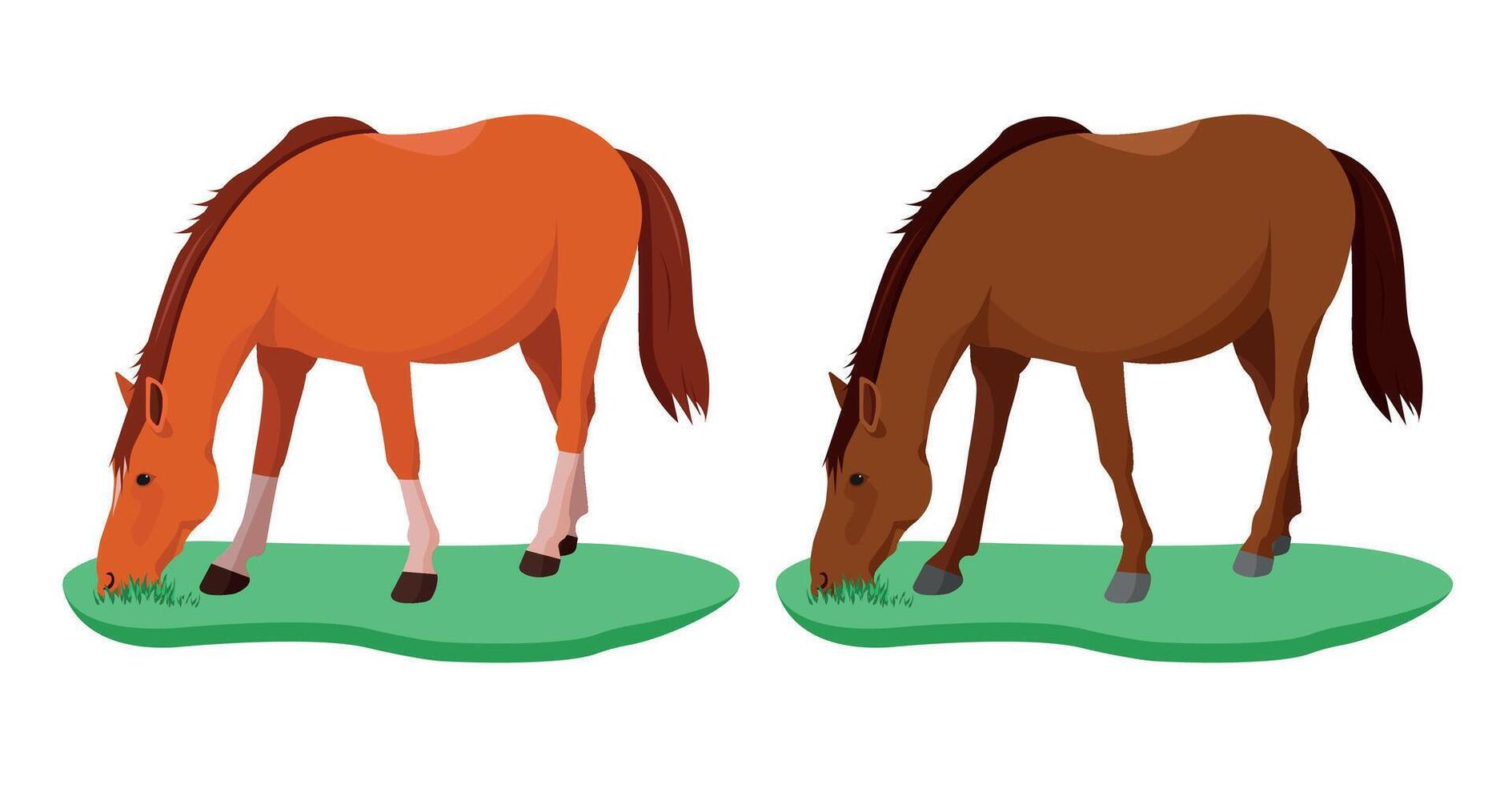 Two horses in a meadow with grass. vector