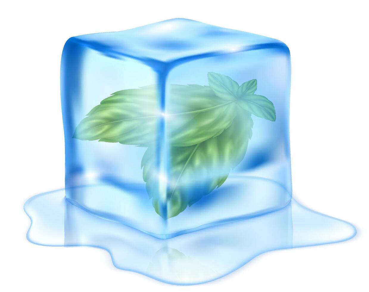 Fresh mint illustration in realistic style vector