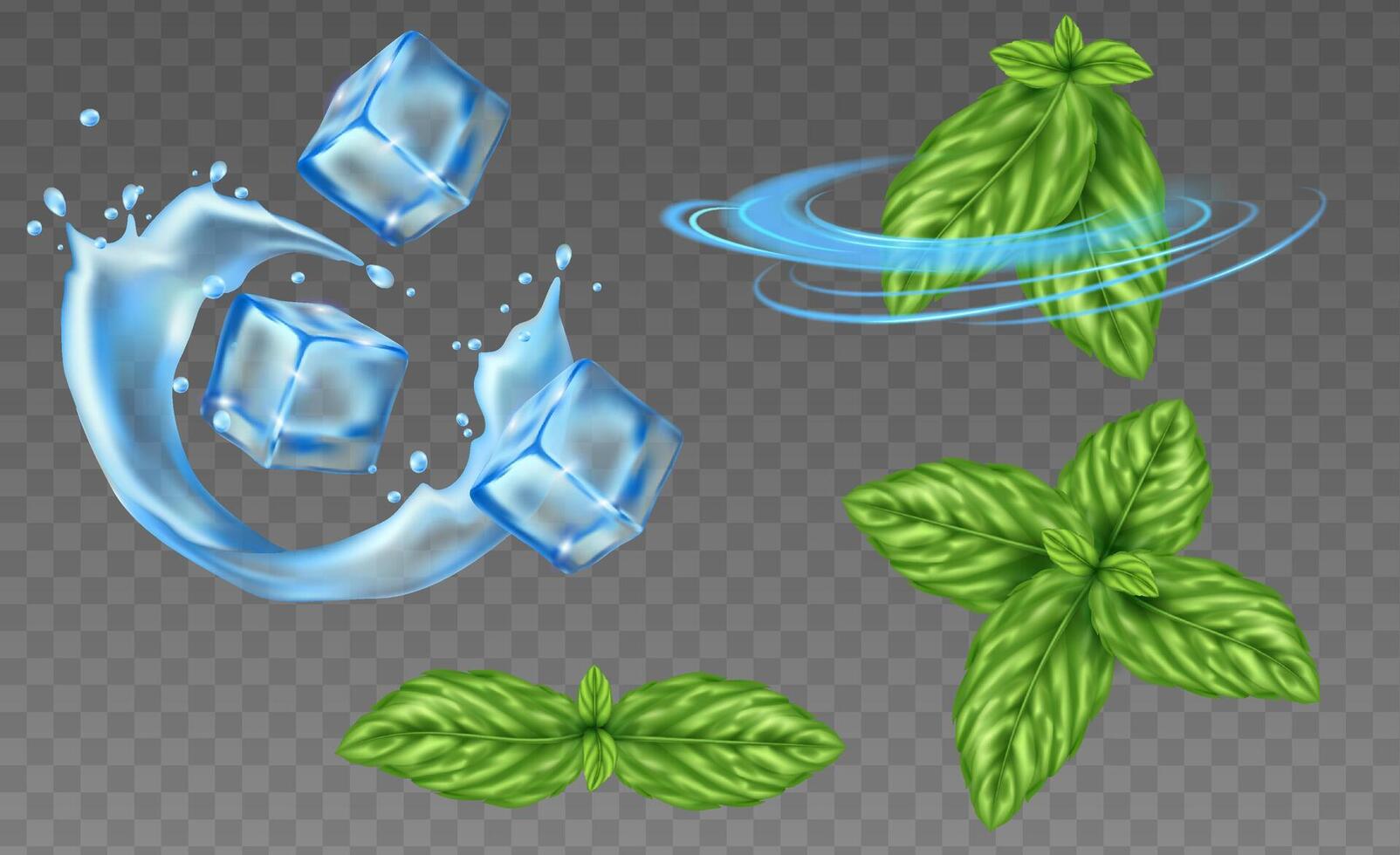 Fresh mint elements collection in realistic style vector