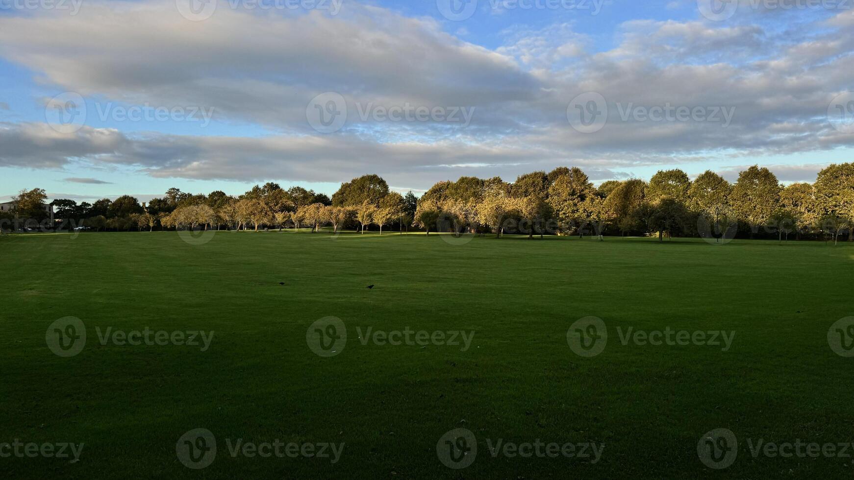 Serene Green Field Under Partly Cloudy Sky photo