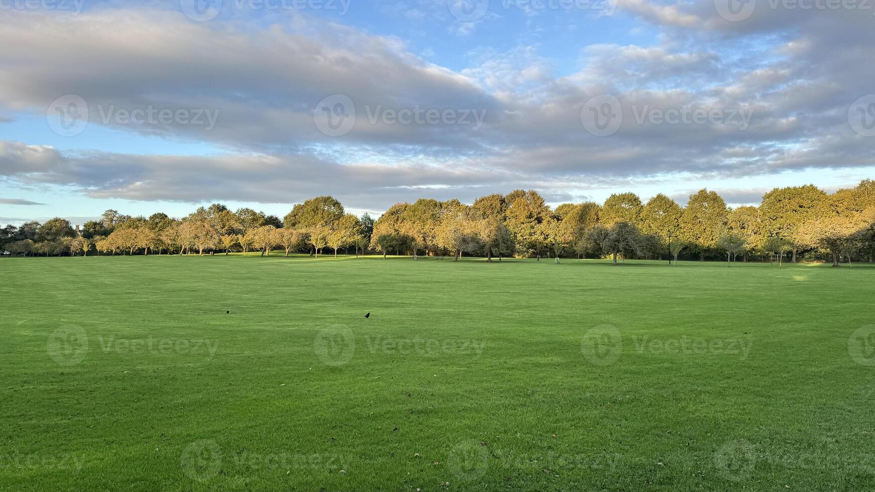 Serene Green Field Under Partly Cloudy Sky photo