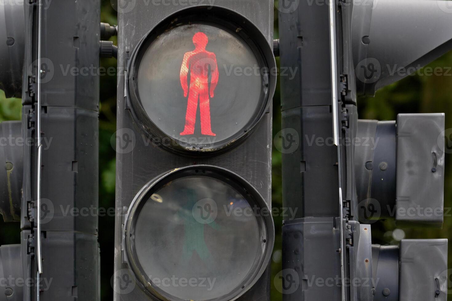 Red Pedestrian Traffic Signal photo