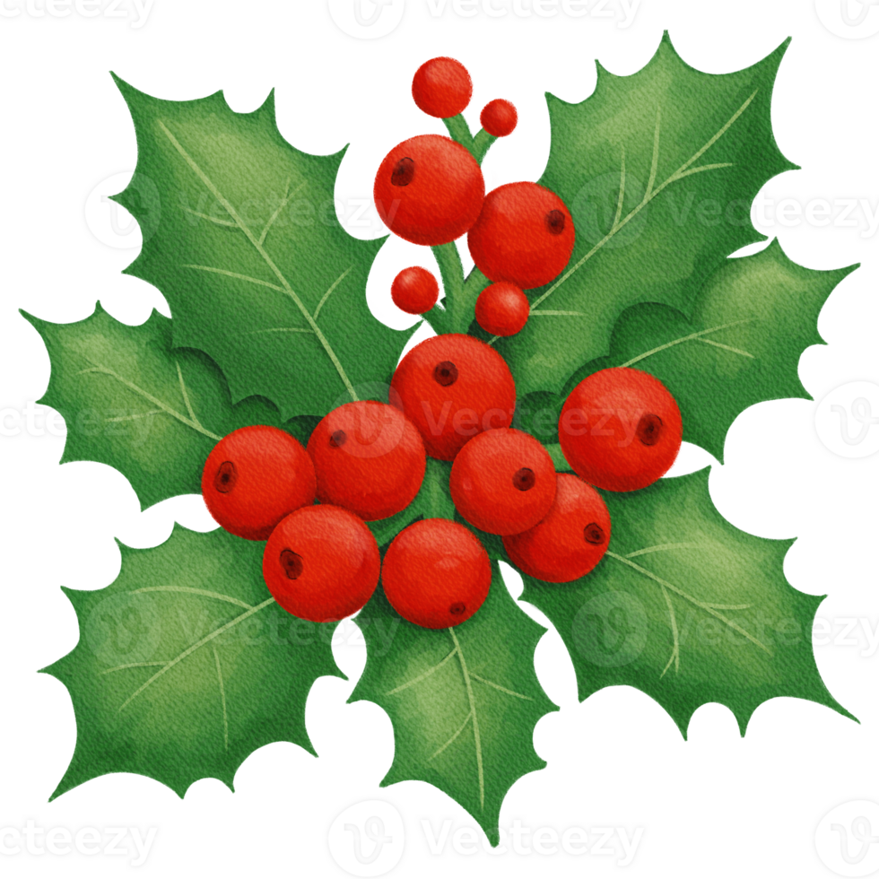 Retro Christmas Holly with Red Berries and Green Leaves png