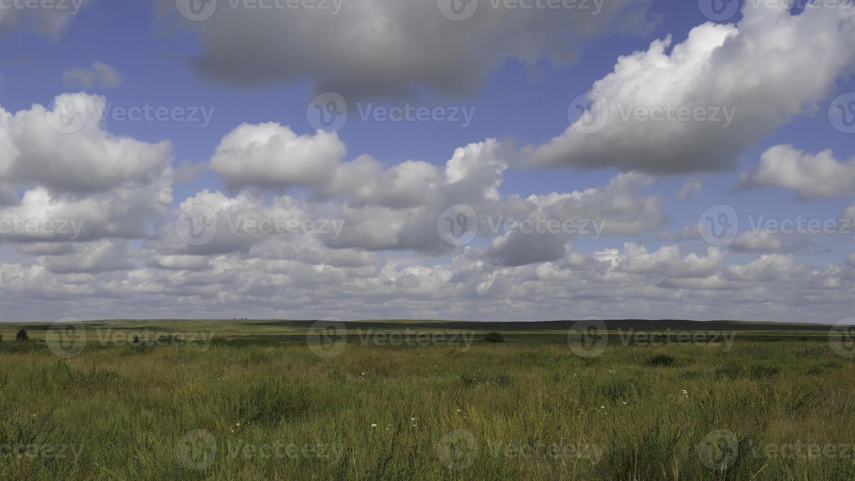 Summer landscape with field of grass,blue sky. Green Grass Field Landscape with fantastic clouds in the background. Great summer landscape photo