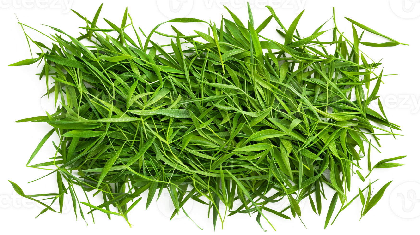 Green grass isolated on transparent background. Top view. Flat lay png