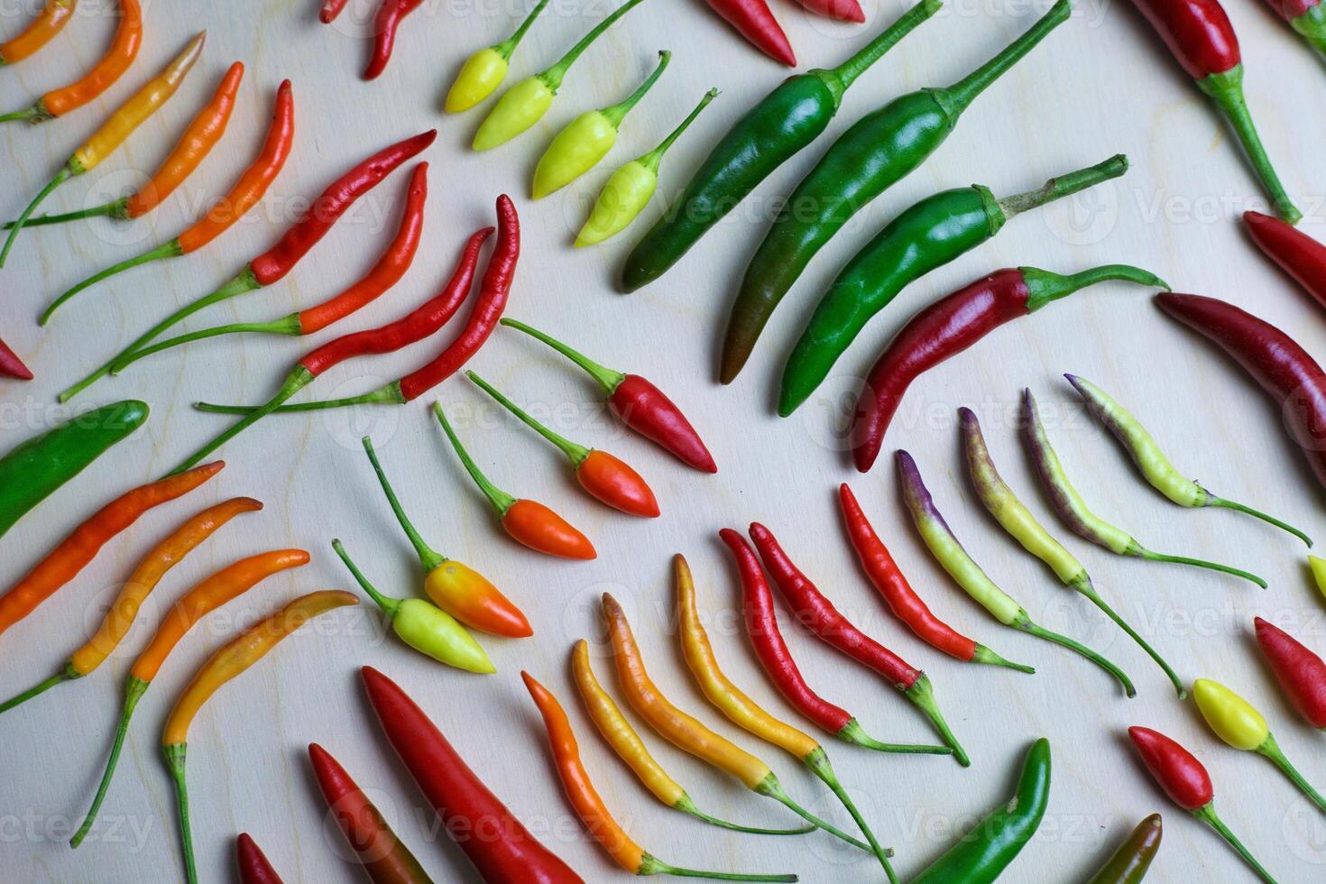 different types of hot pepper in different colors from green to purple. High quality photo hot pepper is laid in neat rows on a light background. autumn backgrounds with ripe vegetables