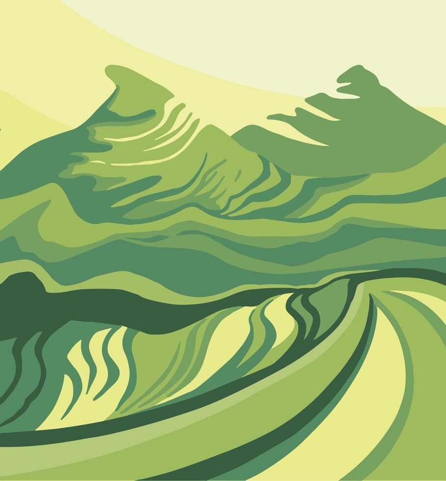 Green tea farm poster. illustration vector