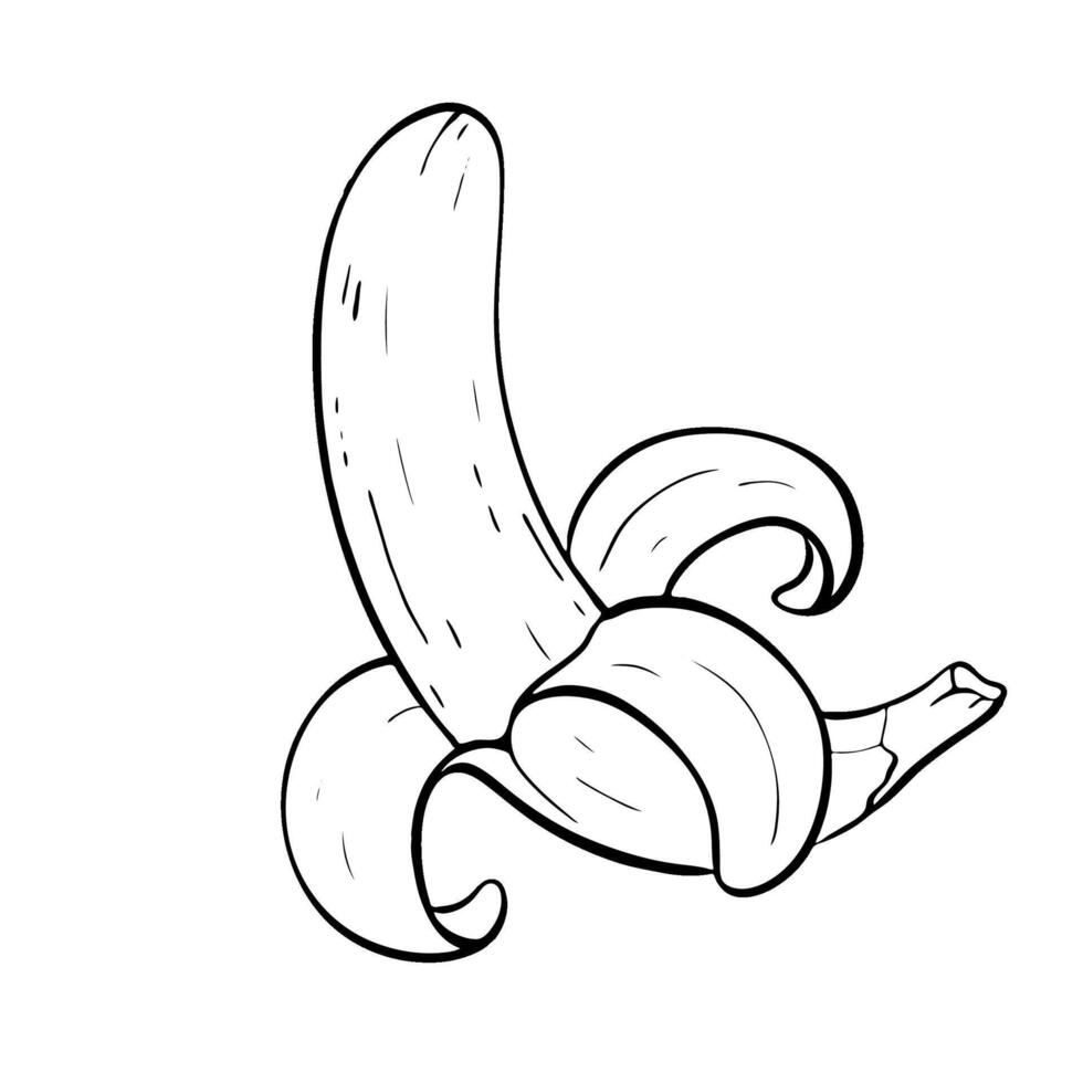 A Beautifully HandDrawn Banana Illustration Intended for Use in Creative Designs and More. sketch illustration. vector