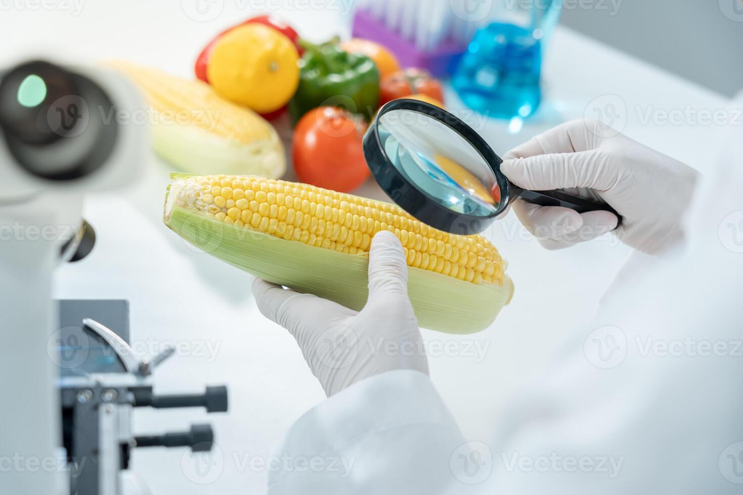 Scientist check chemical food residues in laboratory. Control experts inspect quality of fruits, vegetables. lab, hazards, ROHs, find prohibited substances, contaminate, Microscope, Microbiologist photo