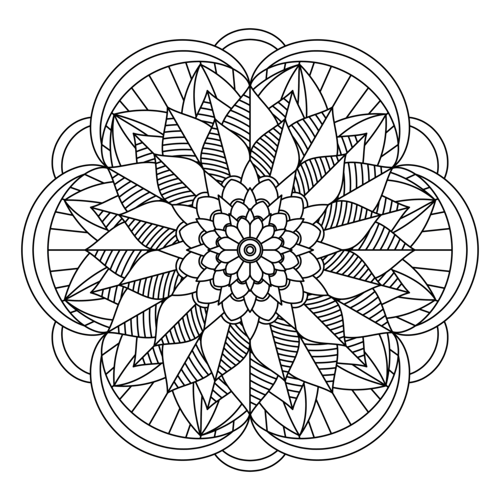 A coloring page with a flower design png