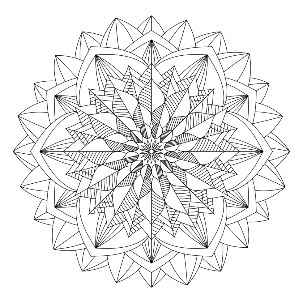 A black and white drawing of a flower png