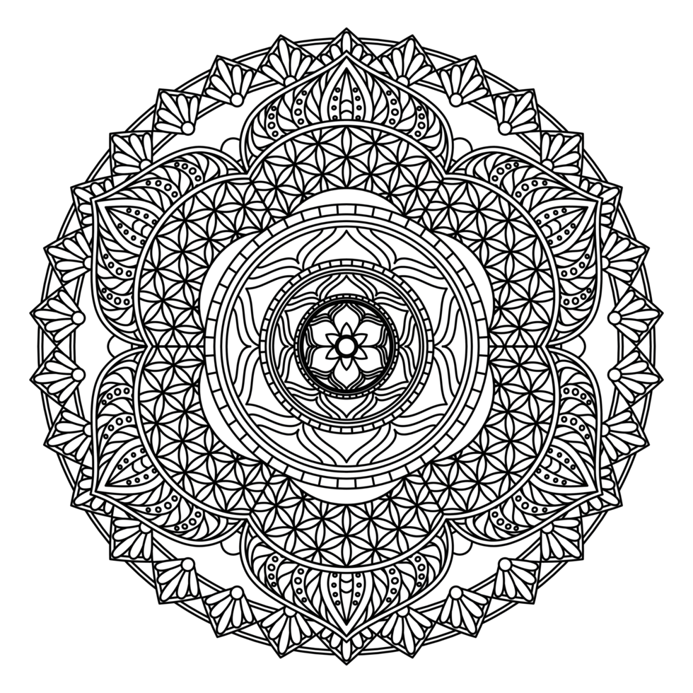 A black and white circular design with a flower in the center png