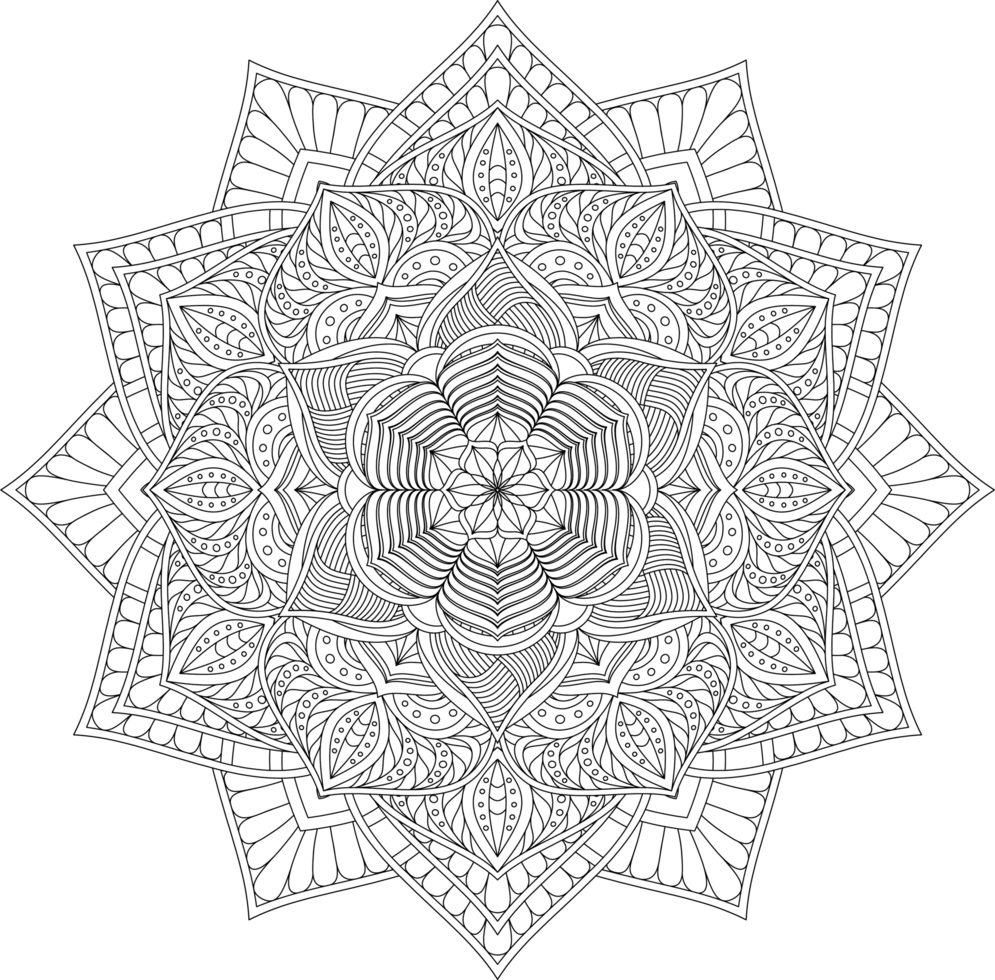 A coloring page with a flower design png