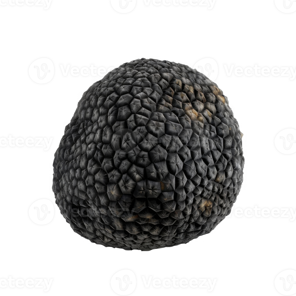 A Single Black Peppercorn with a Detailed Surface png