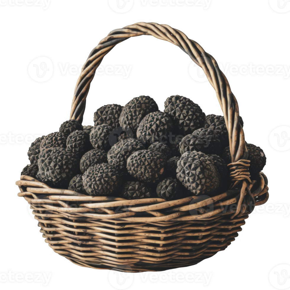 Black Truffles in a Wicker Basket png