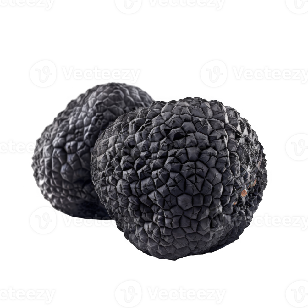 Two Black Truffles with Detailed Textured Surface png