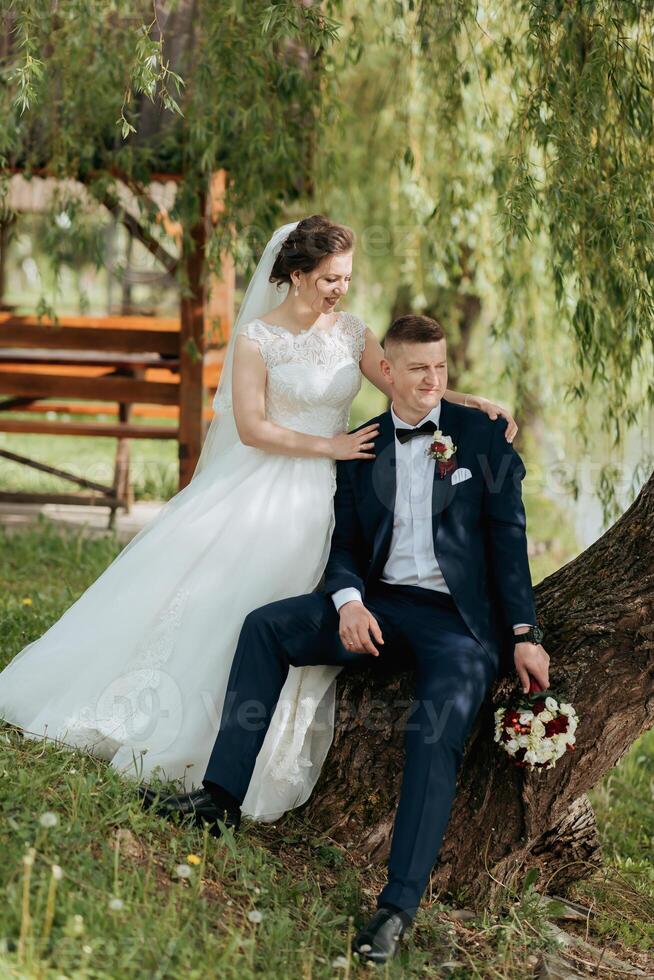 A bride and groom are sitting on a tree stump, posing for a picture photo