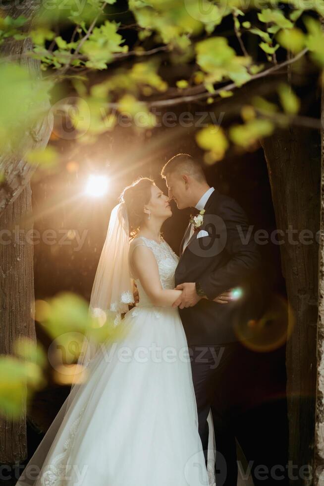 A bride and groom are kissing in front of a tree photo