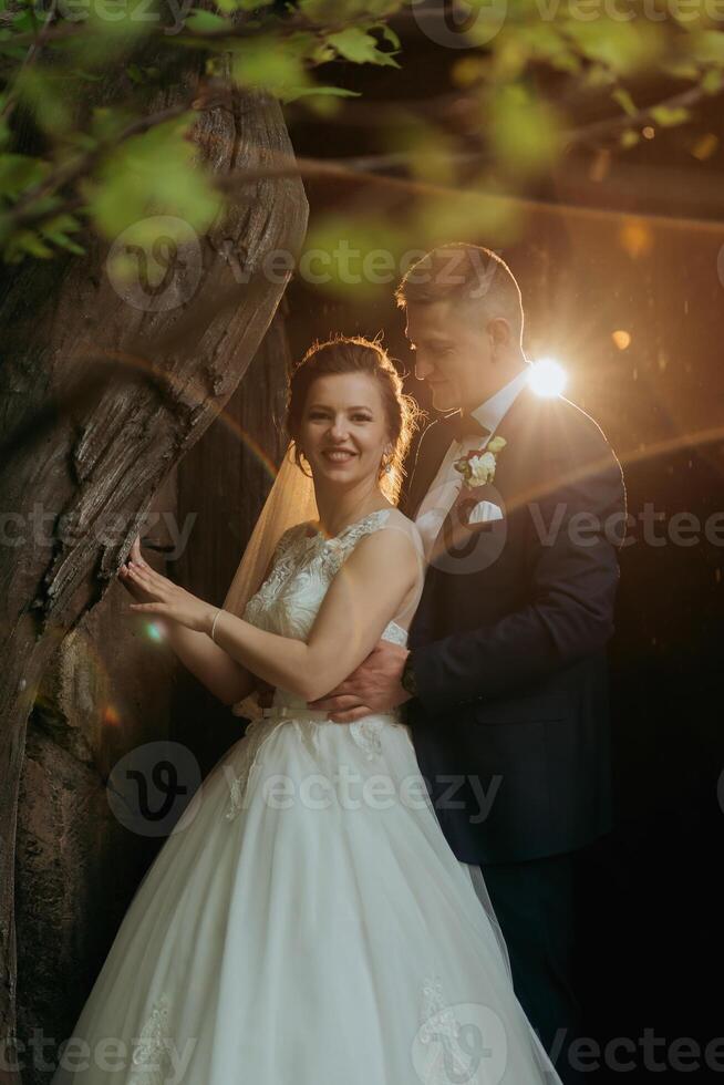 A bride and groom are posing for a picture in front of a tree photo