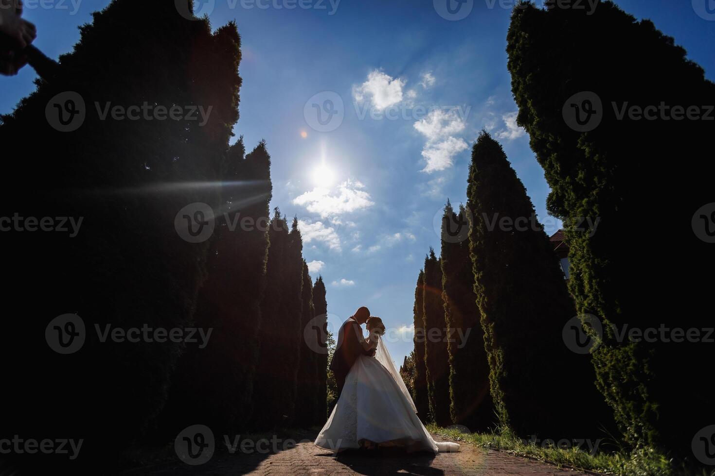 A couple is kissing in front of a row of trees photo