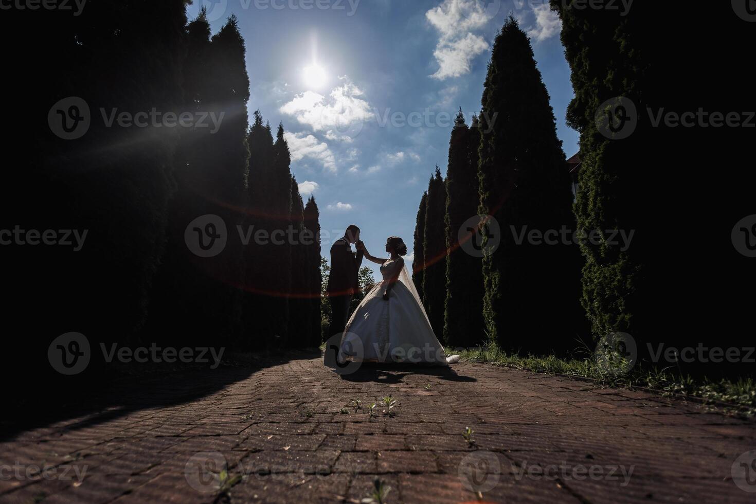 A couple is posing for a picture in a dark forest photo