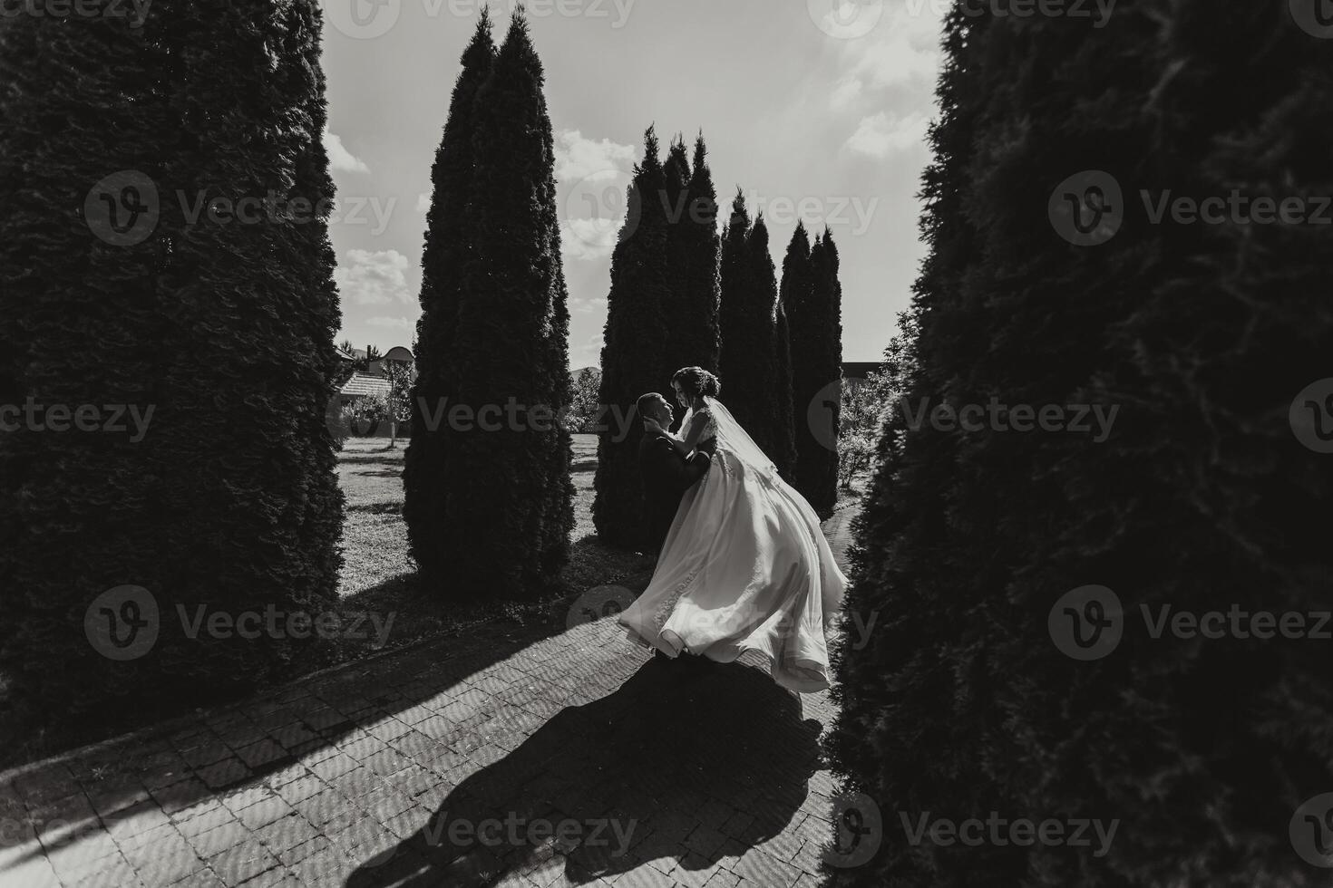A bride and groom are standing in front of a row of trees photo