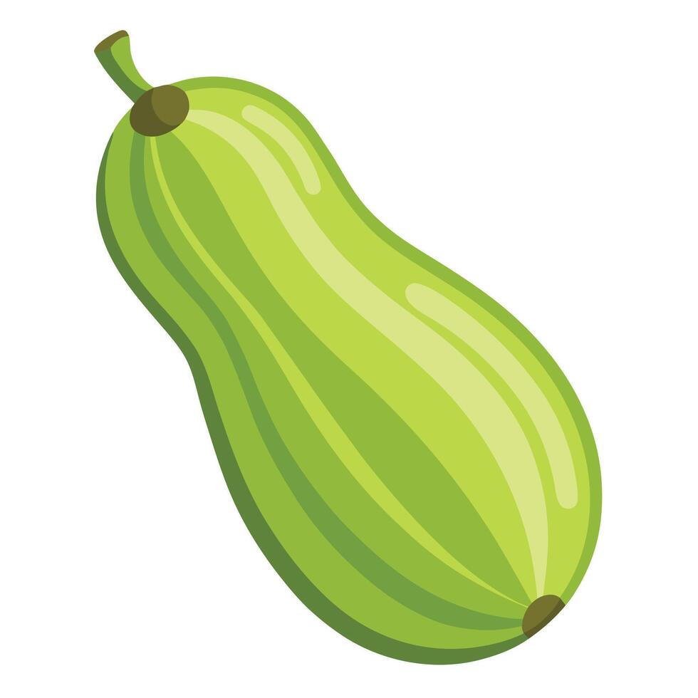 Garden Delight The Glossy Zucchini with a Rich Texture vector