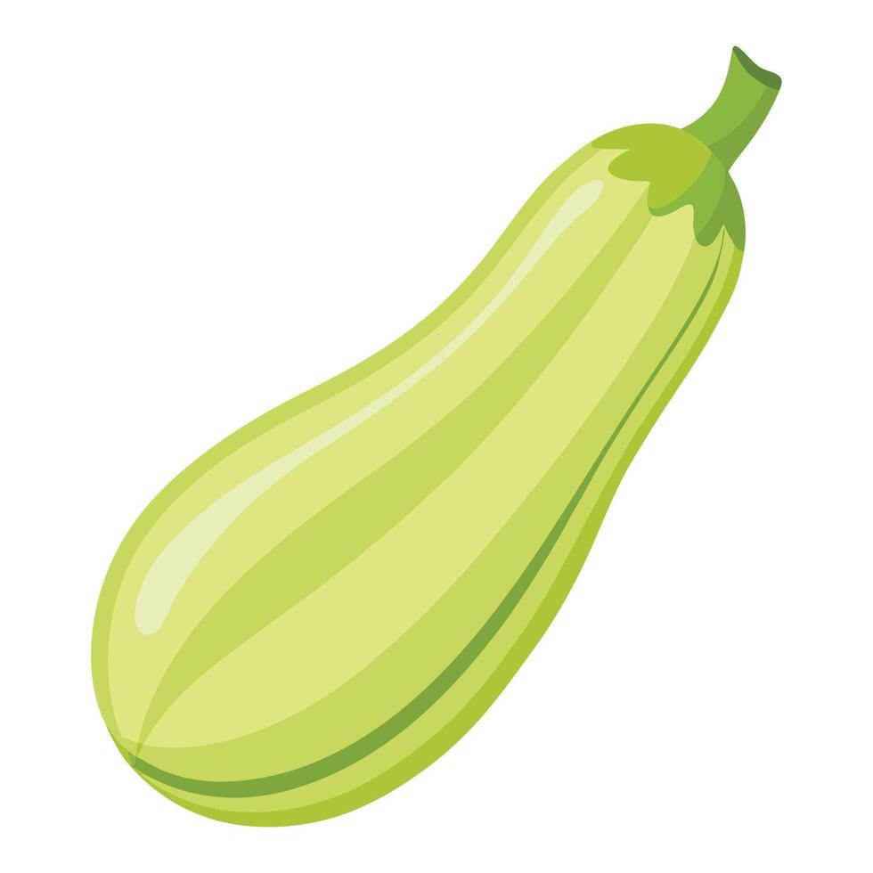Fresh Harvest The Vibrant Green Zucchini vector