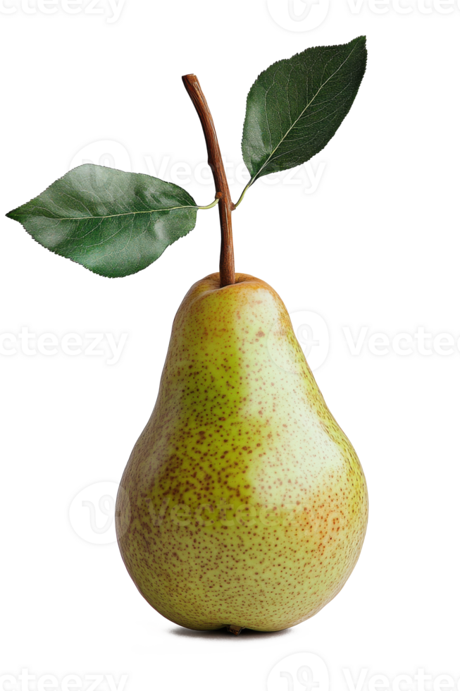 A fresh pear with green leaves displayed elegantly against a neutral background png