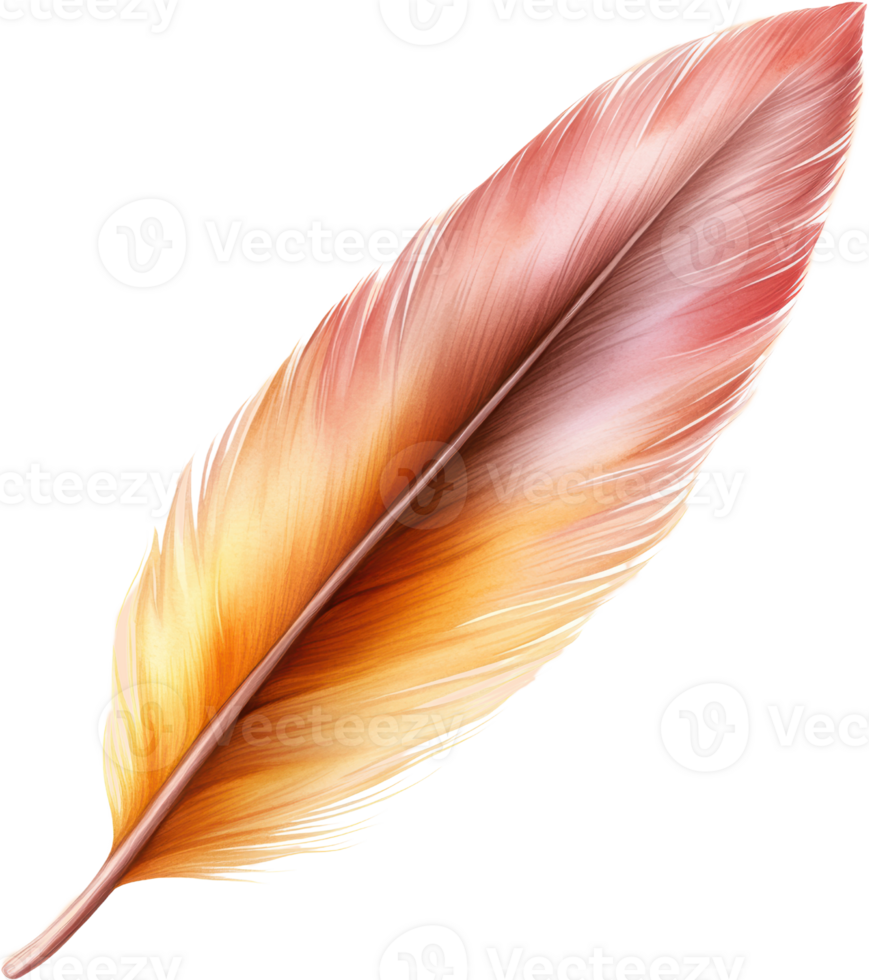 Single orange and pink bird feather isolated transparent background png