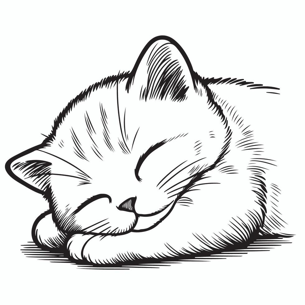 Tranquil Line Art of a Sleeping Kitten vector