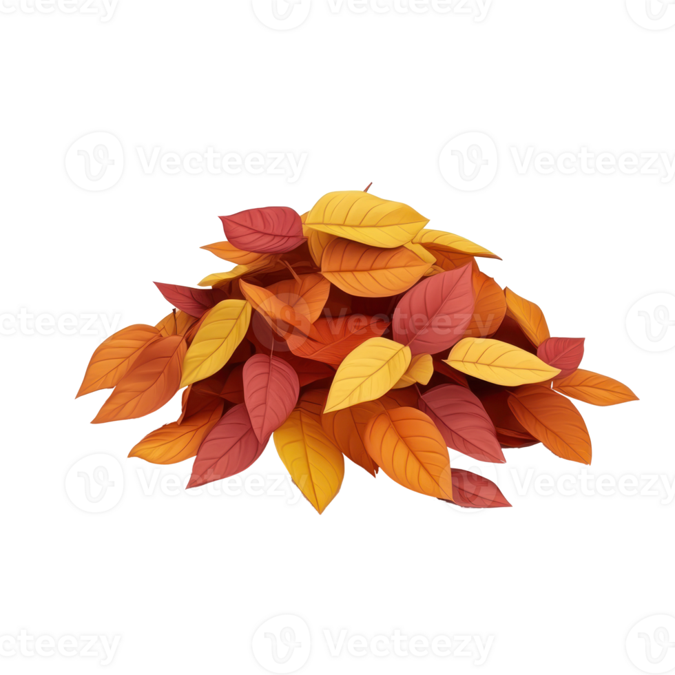 autumn leaves on a white background png
