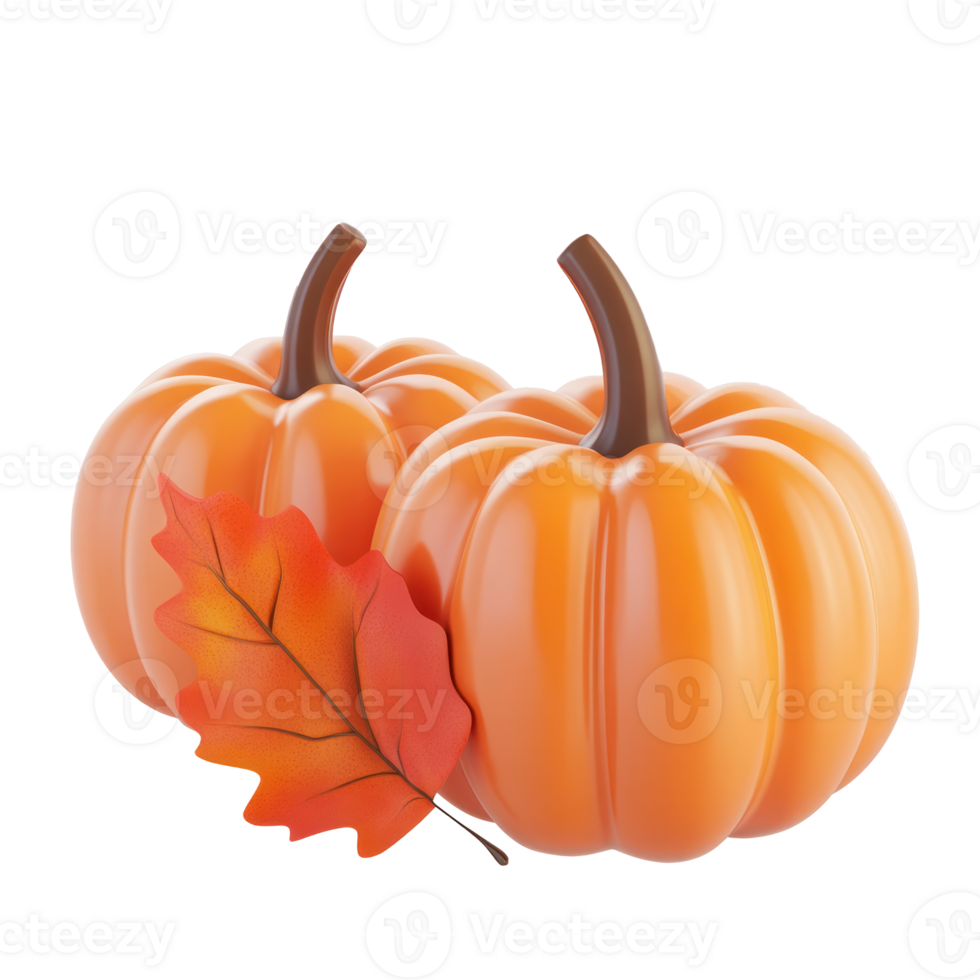 two pumpkins with leaves on them png