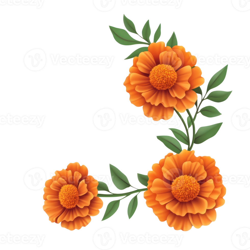 orange flowers on a white background png