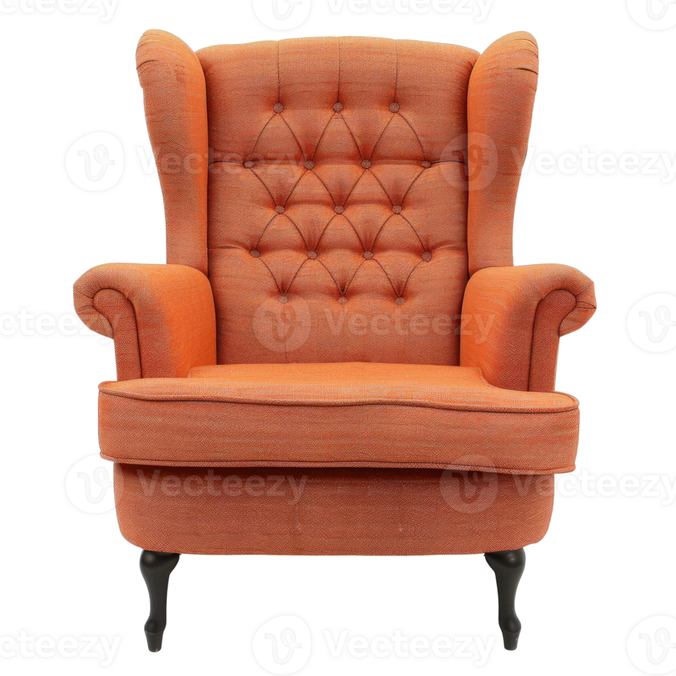 Wingback Chair front view full length isolate on transparency background png
