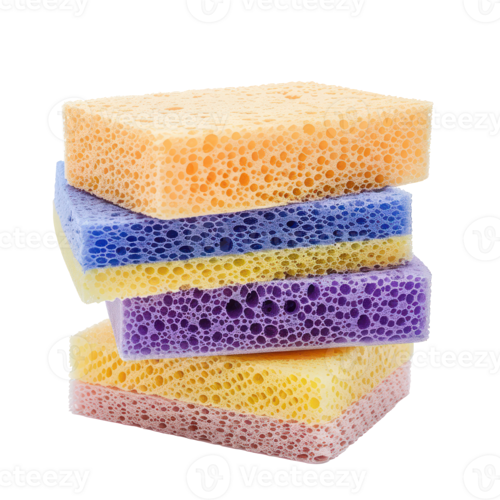 Sponges side view full length isolate on transparency background png