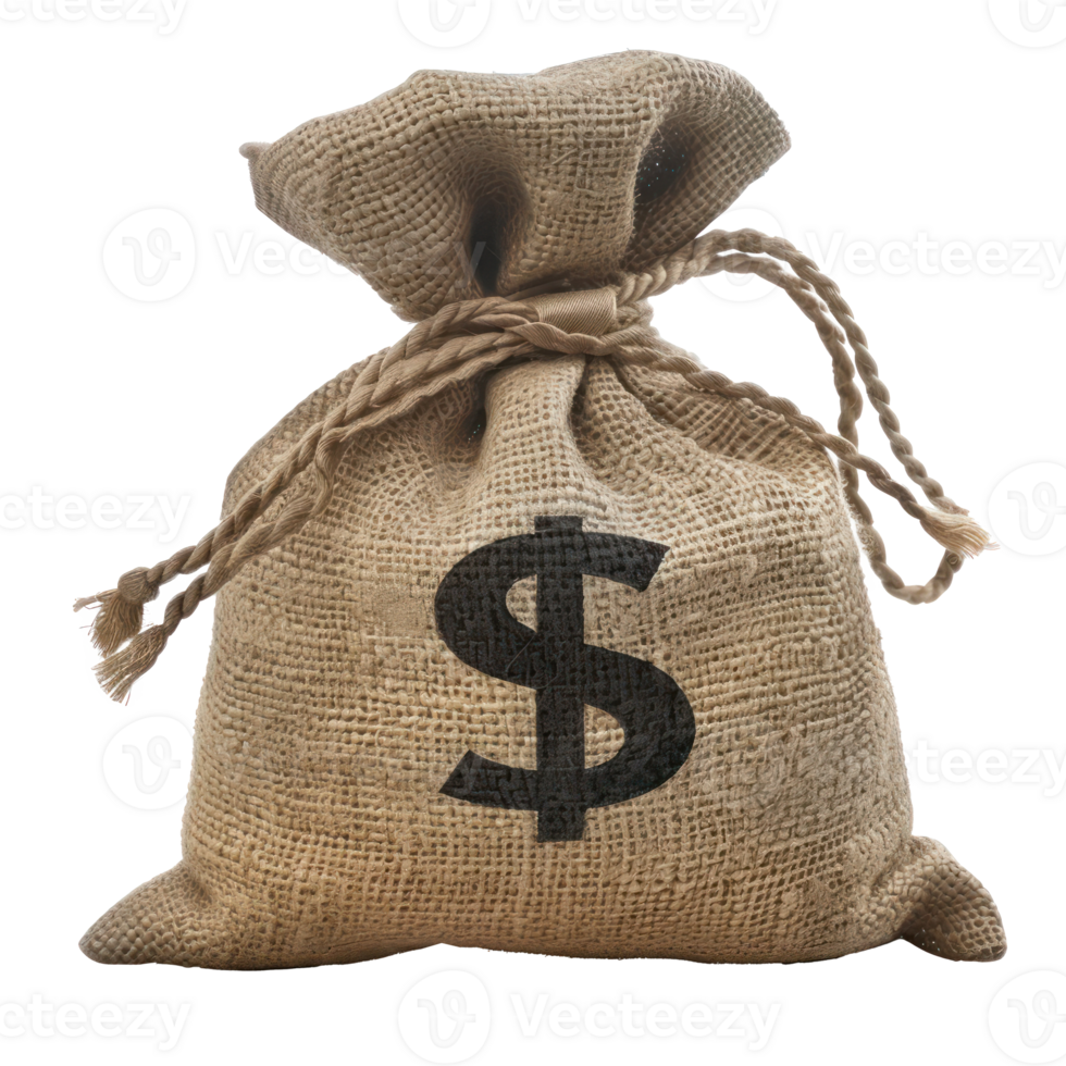 Money bag on it isolate on transparency background png