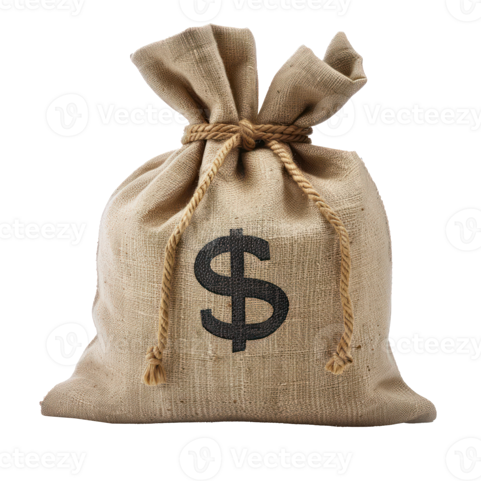 Money bag on it isolate on transparency background png