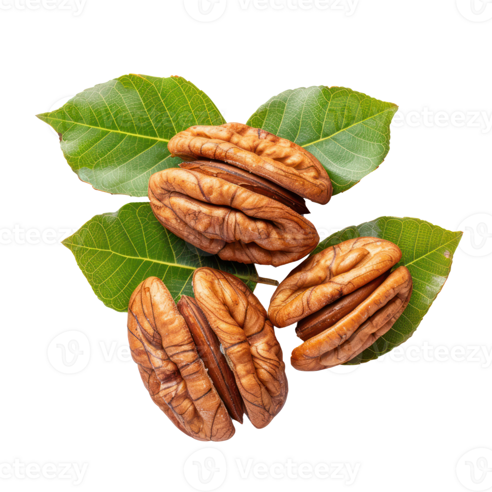 Closeup Pecans with leaves isolate on transparency background png