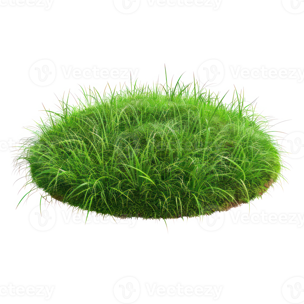 floated grass lawn isolate on transparency background png