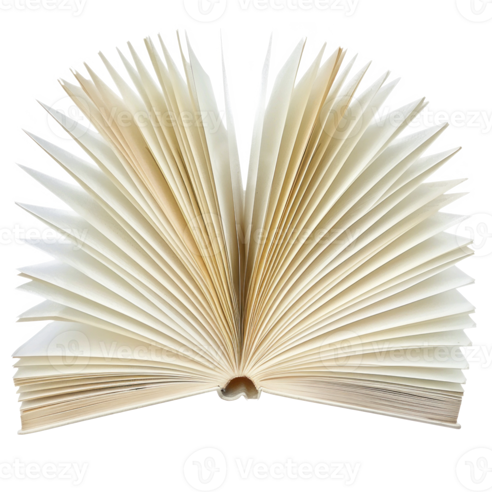 white book open isolate on transparency background png