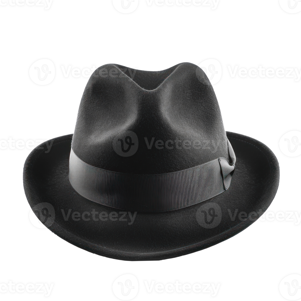 Fedora front view full length isolate on transparency background png