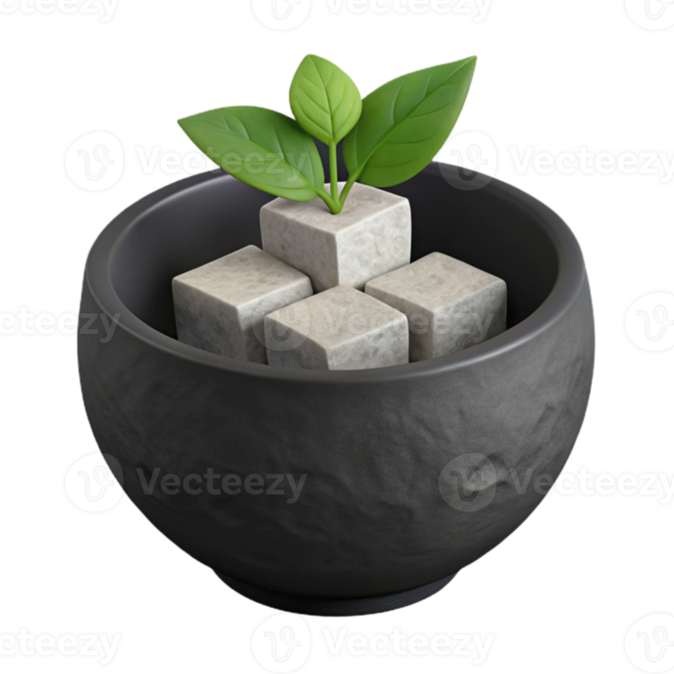 Stone Cubes and a Plant in a Black Bowl png
