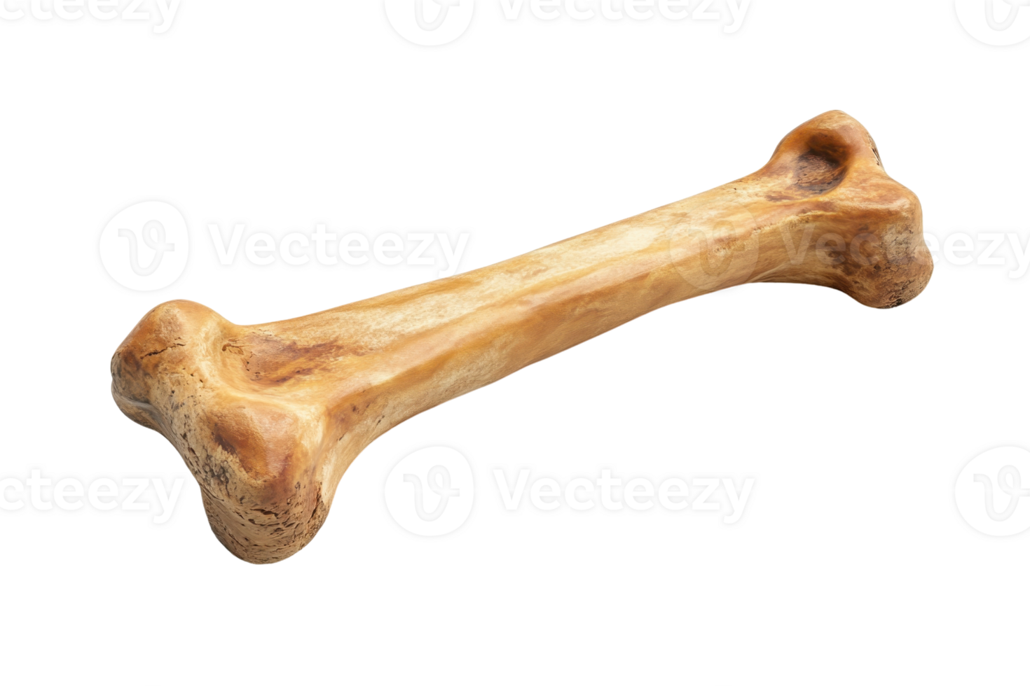 A close-up of a realistic dog bone chew toy for pets. Ideal for pet care, animal-themed projects, or dog-related content. png