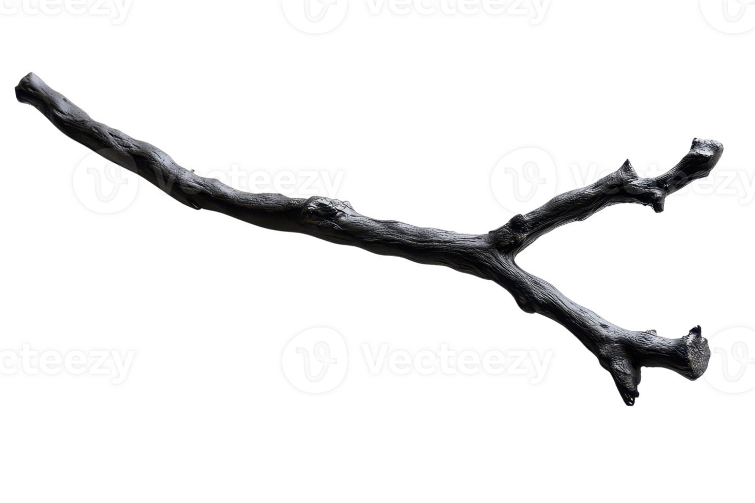 Black branch isolated on transparent background. Perfect for nature, wood, forest, and botanical-themed projects, adding a rustic and natural touch. png