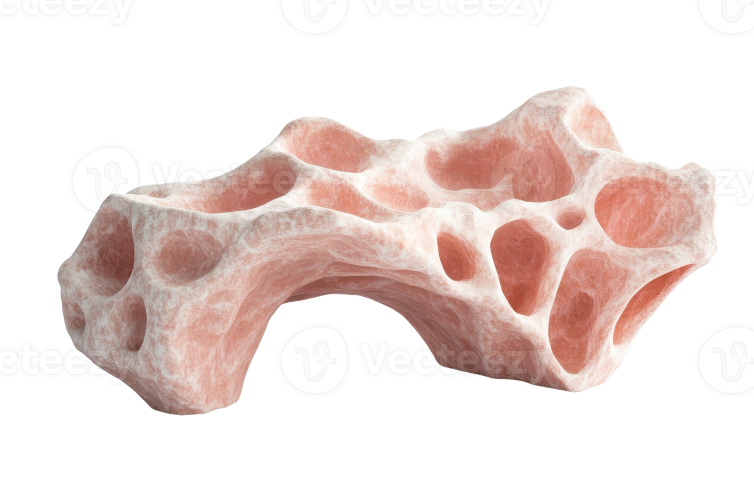 Close-up of a calcified sponge-like structure showcasing natural texture and intricate porous design, isolated on a transparent background. png