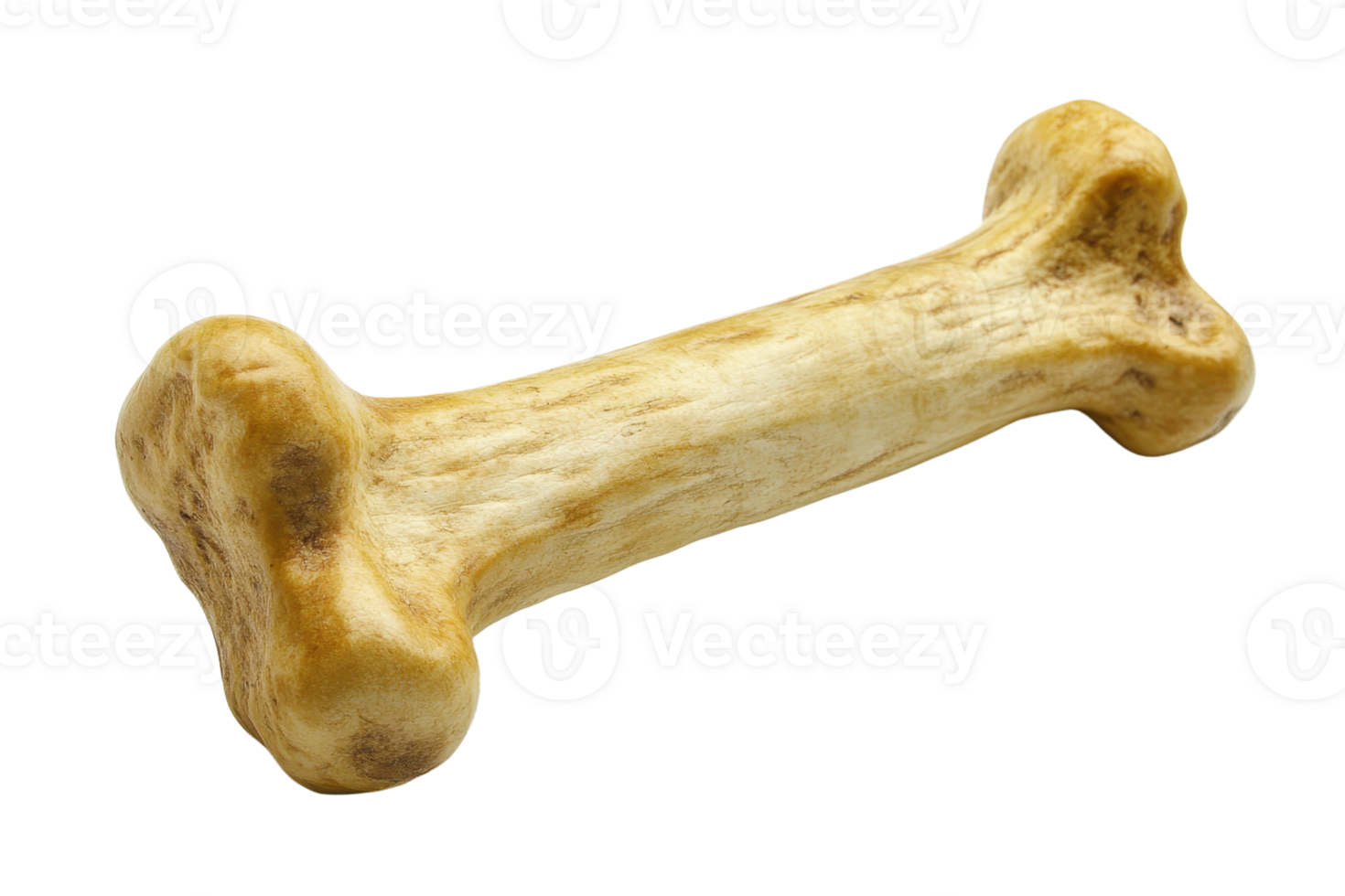 High-quality image of a dog bone chew toy. Perfect for pet-related projects and advertisements. Isolated on a transparent background. png