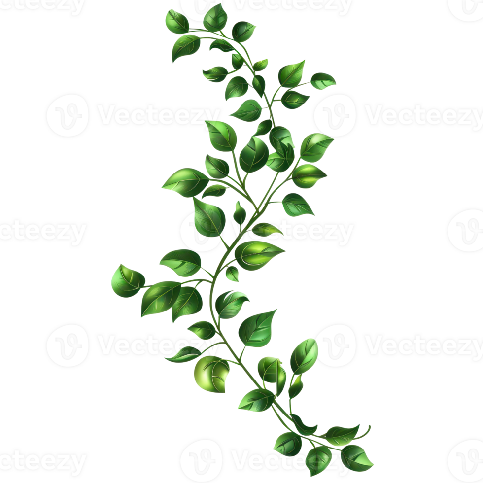 High-quality illustration of a green leafy branch on a transparent background. perfect for botanical designs and natural themed projects. png