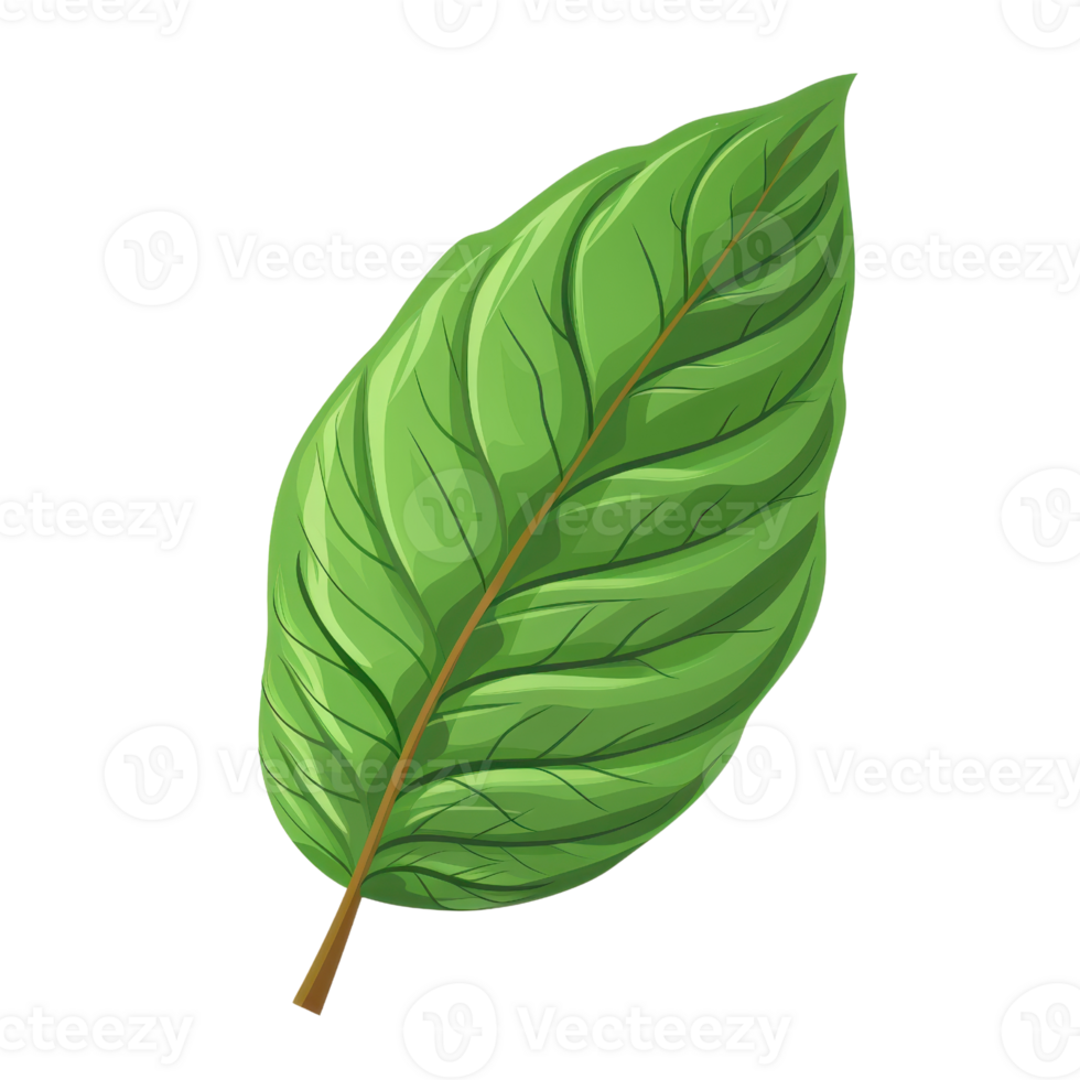High-resolution illustration of a vibrant green leaf, showcasing detailed veins and natural texture against a plain background. png