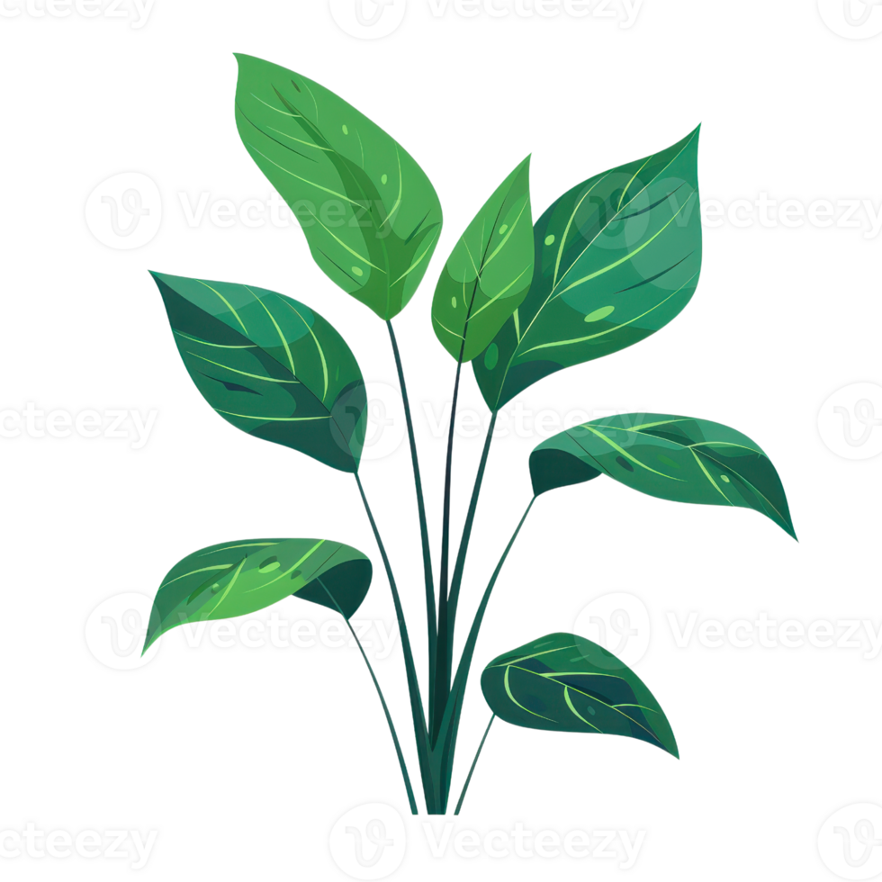 Illustration of a green leafy plant with detailed leaves, perfect for nature and botanical themes in design and decoration. png